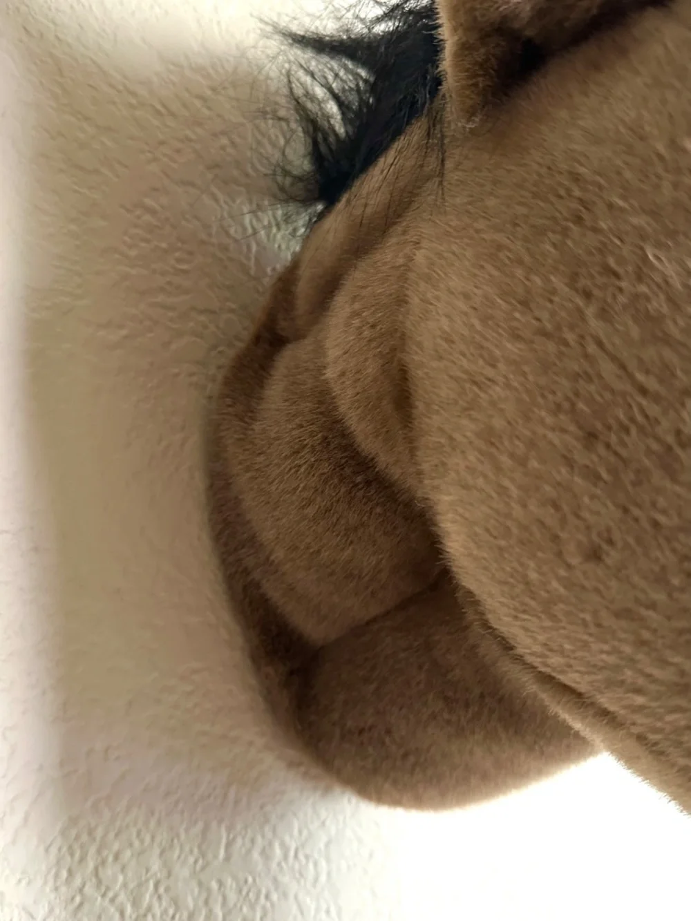 Realistic Brown Horse Head Plush Wall Mount Trophy Black Hair Mane Childs Room